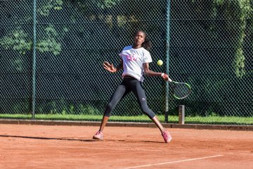 Noma Noha Akugue 298 - Amato Caffe Open